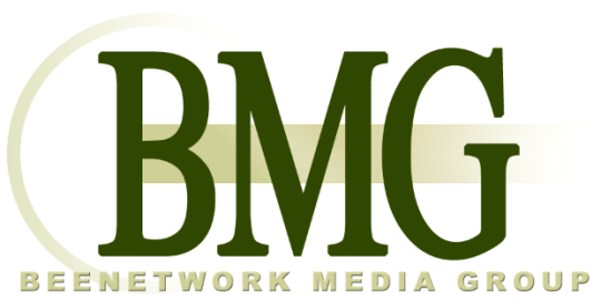 bmg logo(R)2